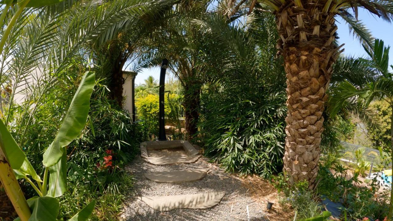 O Ruisseau Lodges - Lodge Dattier Saint-Louis Dış mekan fotoğraf